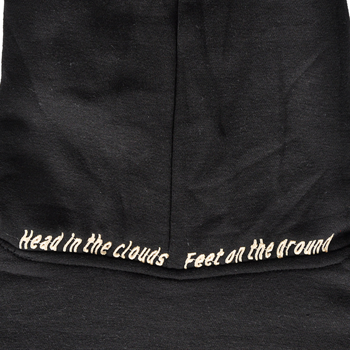 Cloudberry Hooded Sweatshirt #2